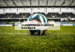 2024欧洲杯有多少队,2024欧洲杯有多少队参加比赛