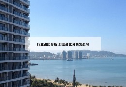 行业占比分析,行业占比分析怎么写