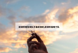 欧洲杯哪支球队不是欧洲的,欧洲杯是哪个队