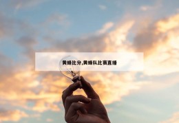 黄蜂比分,黄蜂队比赛直播