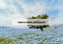 欧洲杯2024直播表,欧洲杯直播日程