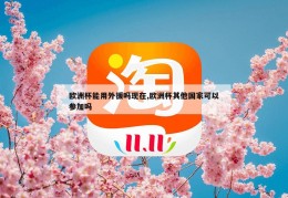 欧洲杯能用外援吗现在,欧洲杯其他国家可以参加吗