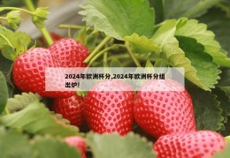 2024年欧洲杯分,2024年欧洲杯分组出炉!