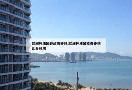 欧洲杯法国轻敌匈牙利,欧洲杯法国和匈牙利比分预测