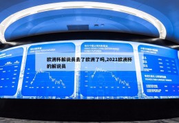 欧洲杯解说员去了欧洲了吗,2021欧洲杯的解说员