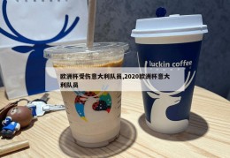 欧洲杯受伤意大利队员,2020欧洲杯意大利队员