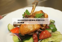 2024年欧洲杯观看渠道,欧洲杯2028年在哪里