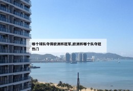 哪个球队夺得欧洲杯冠军,欧洲杯哪个队夺冠热门