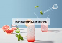 欧洲杯意大利常用阵型,欧洲杯 意大利队员