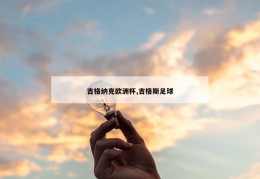 吉格纳克欧洲杯,吉格斯足球