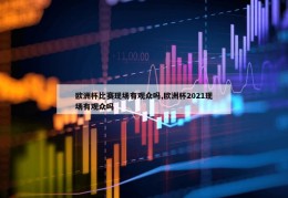 欧洲杯比赛现场有观众吗,欧洲杯2021现场有观众吗