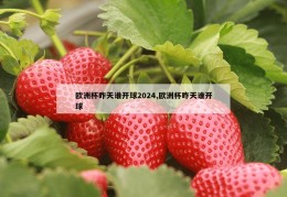 欧洲杯昨天谁开球2024,欧洲杯昨天谁开球