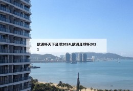 欧洲杯天下足球2024,欧洲足球杯2021