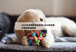 2024年欧洲杯央视直播,2024年欧洲杯央视直播回放