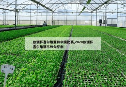 欧洲杯塞尔维亚和中国比赛,2020欧洲杯塞尔维亚不敌匈牙利