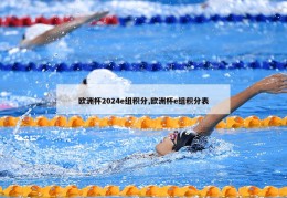 欧洲杯2024e组积分,欧洲杯e组积分表