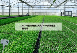 2024的欧洲杯的决赛,2024欧洲杯比赛时间