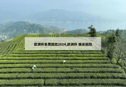 欧洲杯免费回放2024,欧洲杯 精彩回放