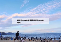 欧洲杯2024在哪里踢,欧洲杯2020在哪踢